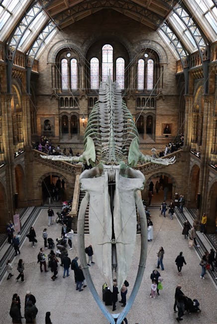 Inside the Natural History Museum in South Kensington, the image shows a large dinosaur skeleton displayed centrally in a spacious, high-ceilinged hall with arched glass windows allowing natural light