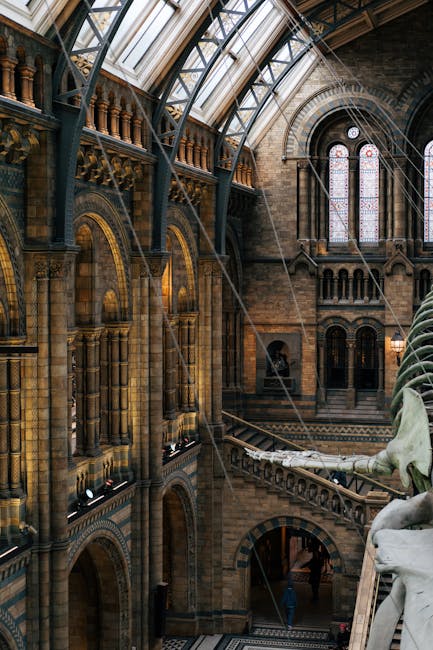 Inside the Natural History Museum in South Kensington, the image shows a large dinosaur skeleton displayed centrally in a spacious, high-ceilinged hall with arched glass windows allowing natural light