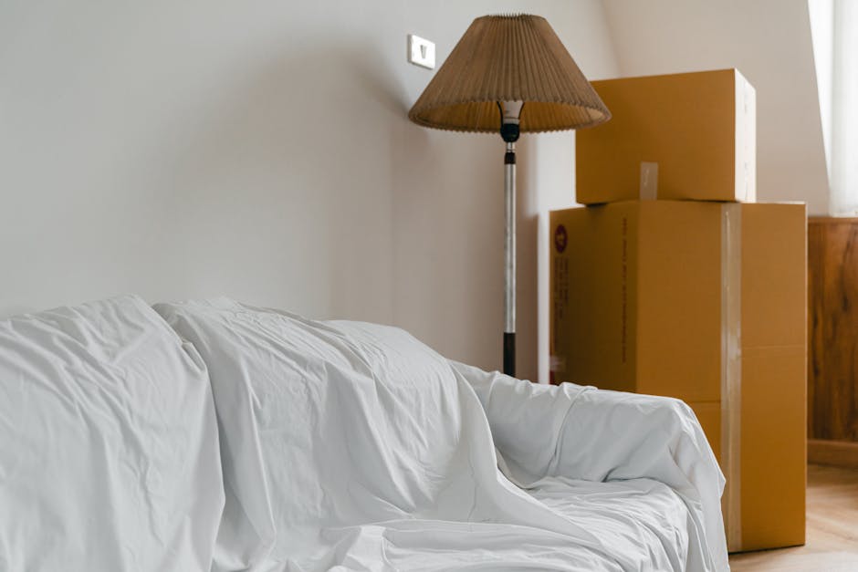 Photograph of a furnished living room corner showing a white fabric sofa draped with a white sheet, positioned against a light-colored wall. To the right, there are three cardboard boxes of varying si